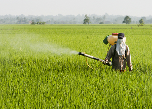 Agricultural Services