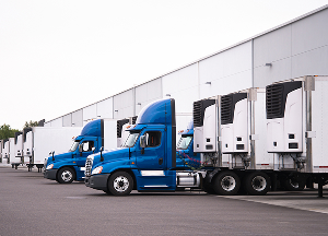 Transportation Companies